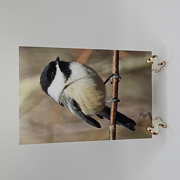 4x6 Chickadee Bird Oil Painting Photography Print‎ - Picture 4 of 7